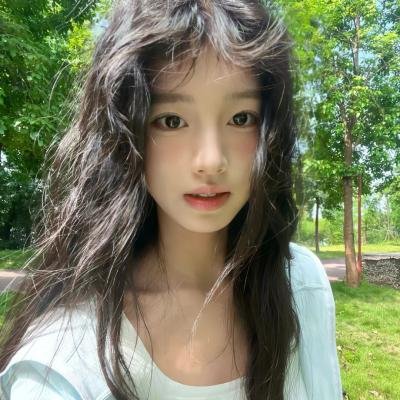 战地莺花